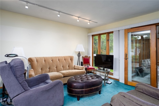 118 Steeplechase Ln, Munroe Falls, OH 44262 - living room with rail lighting