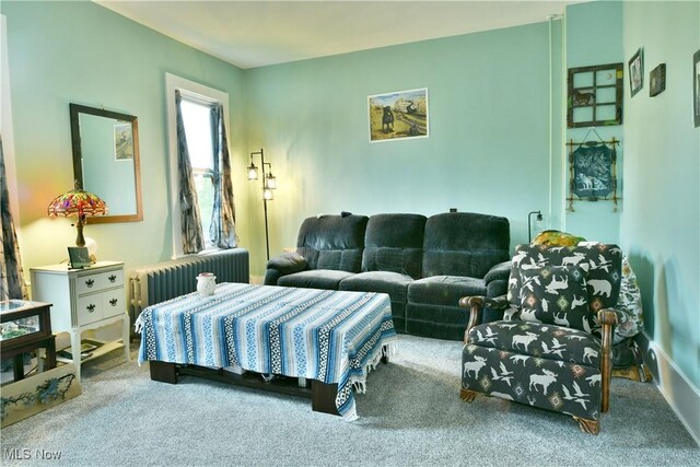8273 Warren Meadville Rd, Kinsman, OH 44428 - carpeted bedroom featuring radiator heating unit
