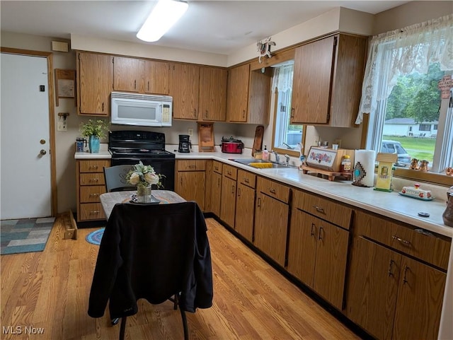 46340 Township Rd Unit 1208, Coshocton, OH 43812 - kitchen with white microwave, black electric range oven, light countertops, a sink, and light wood-type flooring