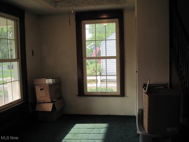 2710 W River Rd N, Elyria, OH 44035 - interior space featuring dark colored carpet