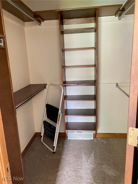 579 Glenmere Pl, Barberton, OH 44203 - walk in closet with carpet flooring
