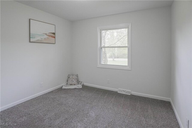 10123 Minyoung Rd, Ravenna, OH 44266 - photo 17