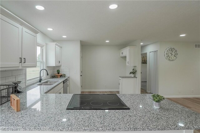 10123 Minyoung Rd, Ravenna, OH 44266 - photo 9