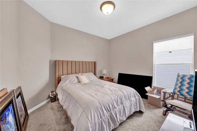 1236 Selena Grv, Uniontown, OH 44685 - photo 23