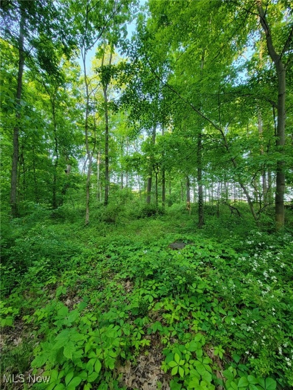Gable Rd, West Salem, OH 44287