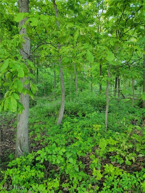 Gable Rd, West Salem, OH 44287