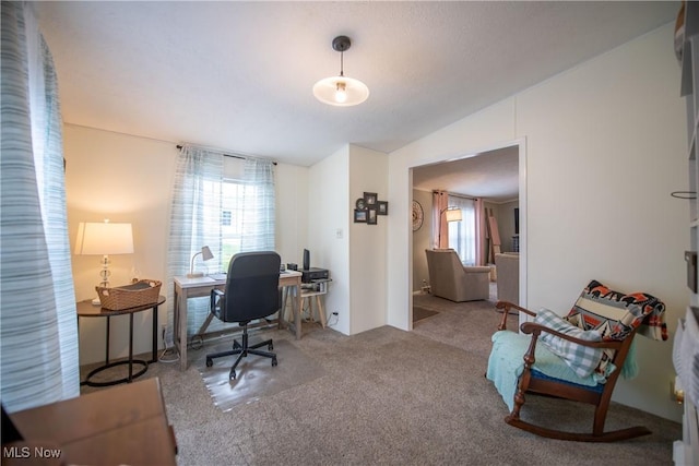 5725 Joleda Dr SW, Canton, OH 44706 - home office featuring vaulted ceiling and carpet