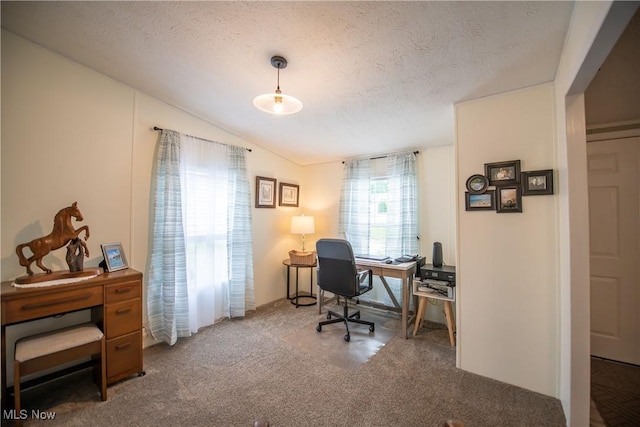 5725 Joleda Dr SW, Canton, OH 44706 - carpeted home office featuring lofted ceiling and a textured ceiling