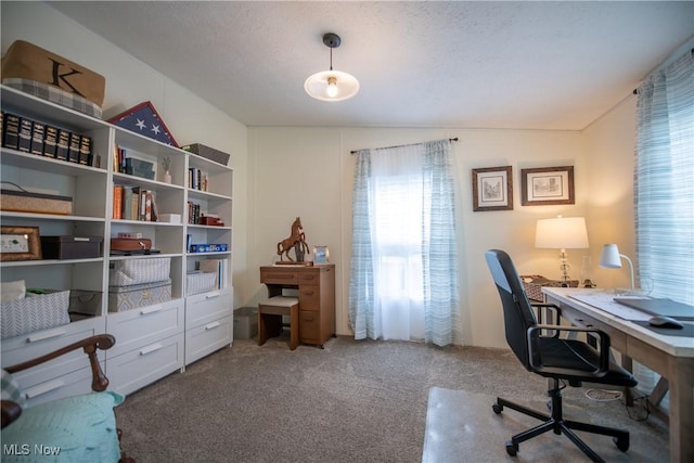 5725 Joleda Dr SW, Canton, OH 44706 - view of carpeted home office