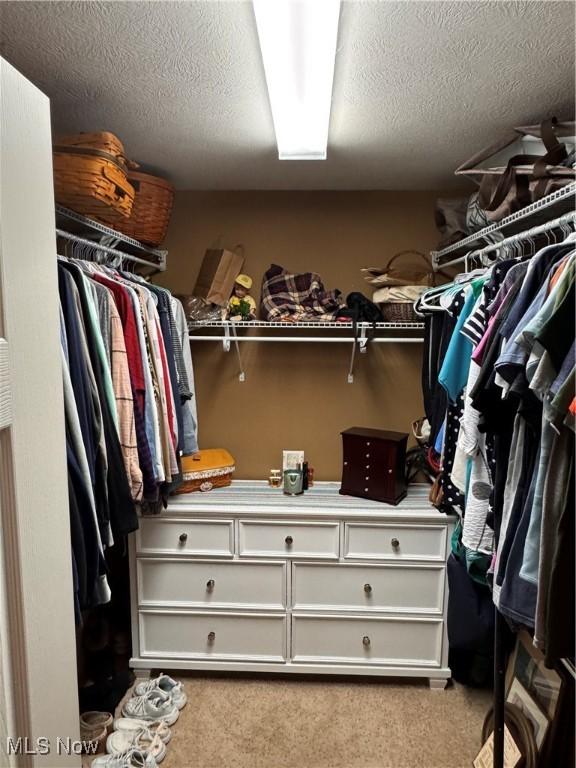 617 Wedgewood Way Unit 617, Millersburg, OH 44654 - walk in closet featuring carpet
