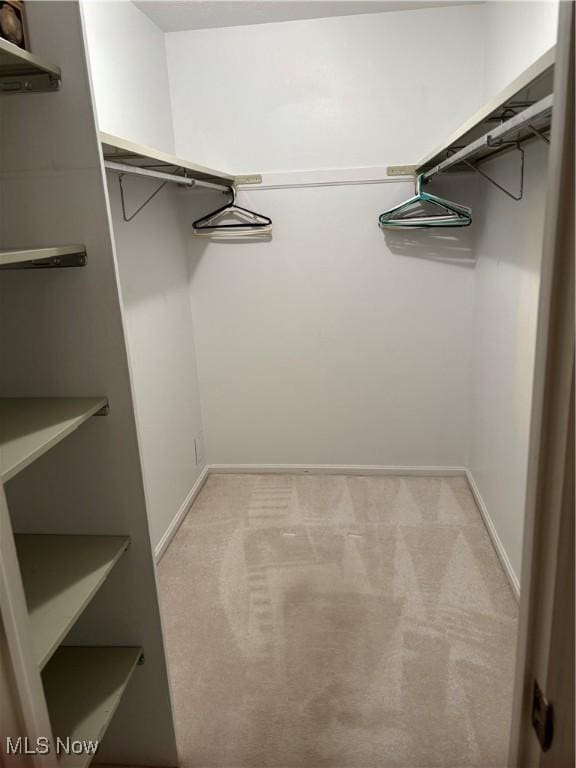 1931 King James Unit 131, Westlake, OH 44145 - walk in closet with light carpet
