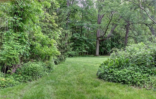 29590 Broxbourne Rd, North Olmsted, OH 44070 - view of grassy yard with a view of trees