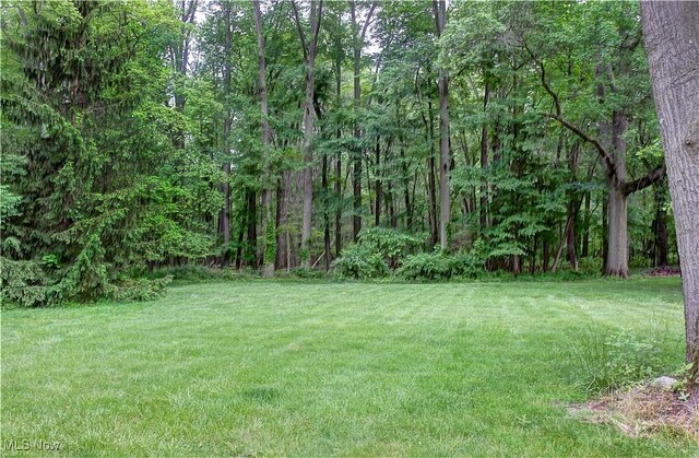 29590 Broxbourne Rd, North Olmsted, OH 44070 - view of green lawn