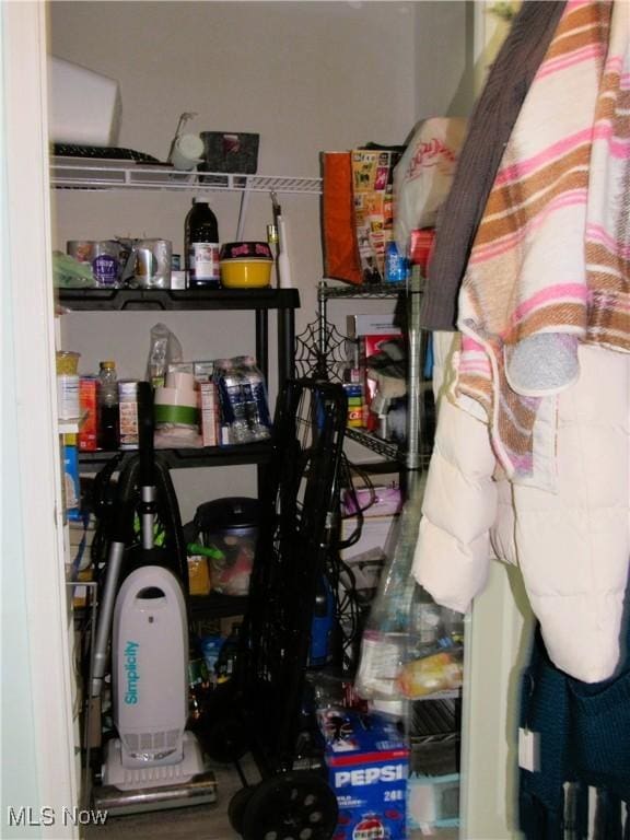 23002 Chandlers Ln Unit 101, Olmsted Falls, OH 44138 - view of storage room