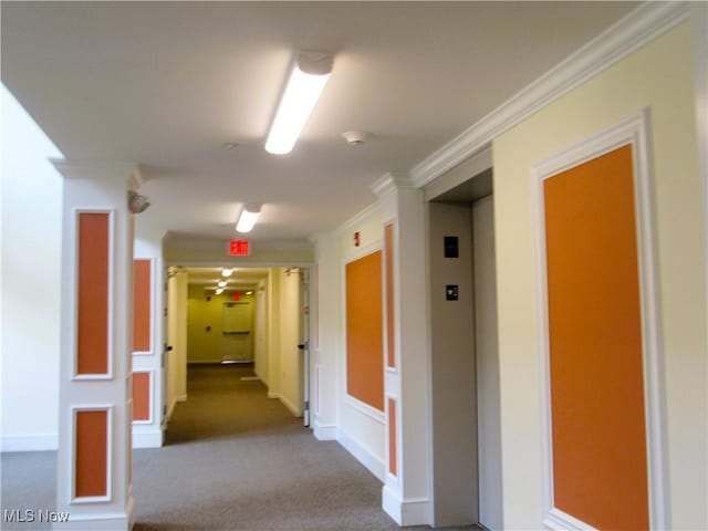 23002 Chandlers Ln Unit 101, Olmsted Falls, OH 44138 - corridor featuring crown molding, dark carpet, and elevator