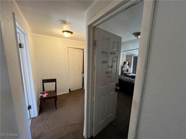 16701 Raymond St, Maple Heights, OH 44137 - corridor with a textured wall, carpet floors, and baseboards