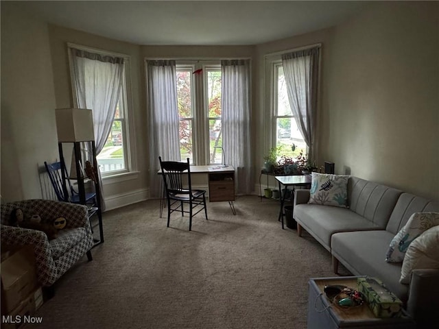 98 Westwood Ave, Akron, OH 44302 - carpeted living room featuring healthy amount of natural light and baseboards