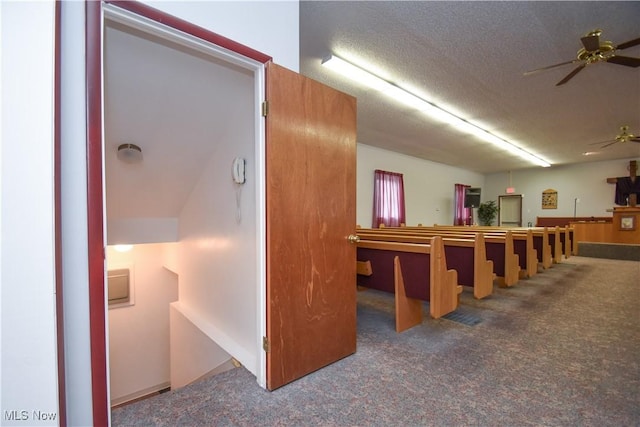 1187 Deforest Rd SE, Warren, OH 44484 - below grade area with ceiling fan, carpet flooring, and a textured ceiling