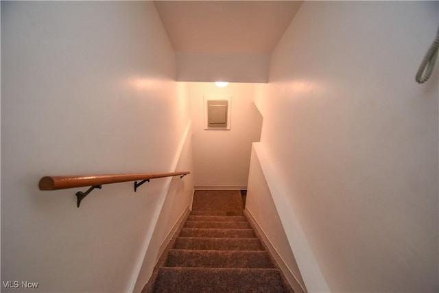1187 Deforest Rd SE, Warren, OH 44484 - stairs with carpet floors and baseboards