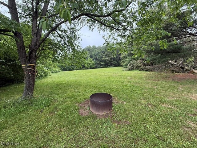 5006 Doral Rd SW, Carrollton, OH 44615 - photo 39