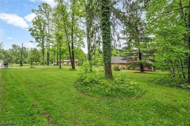 13443 Lakewood Dr, Chesterland, OH 44026 - photo 5
