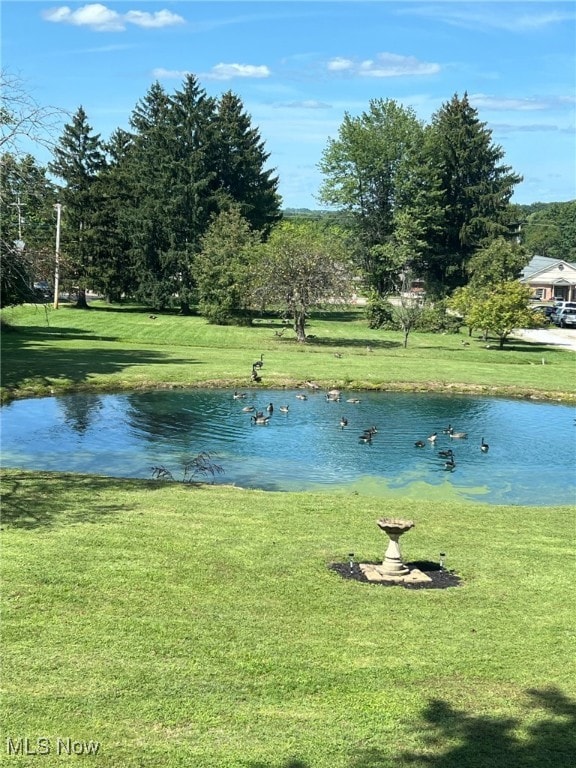 988 E Turkeyfoot Lake Rd, Green, OH 44312 - water view