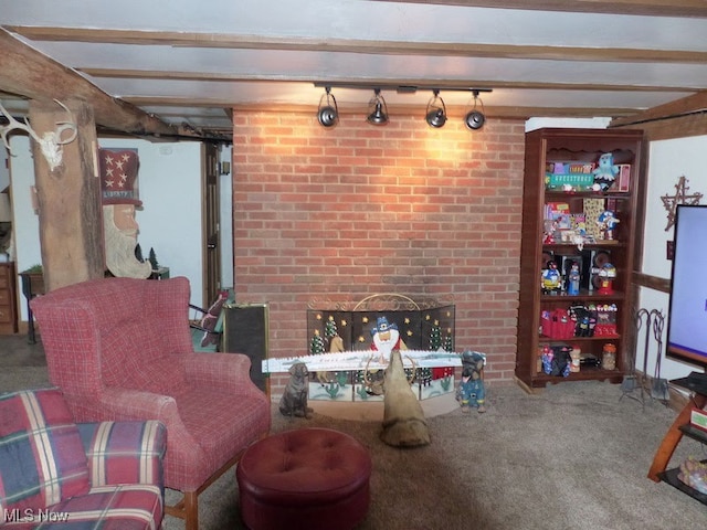 988 E Turkeyfoot Lake Rd, Green, OH 44312 - carpeted living room featuring track lighting and a fireplace