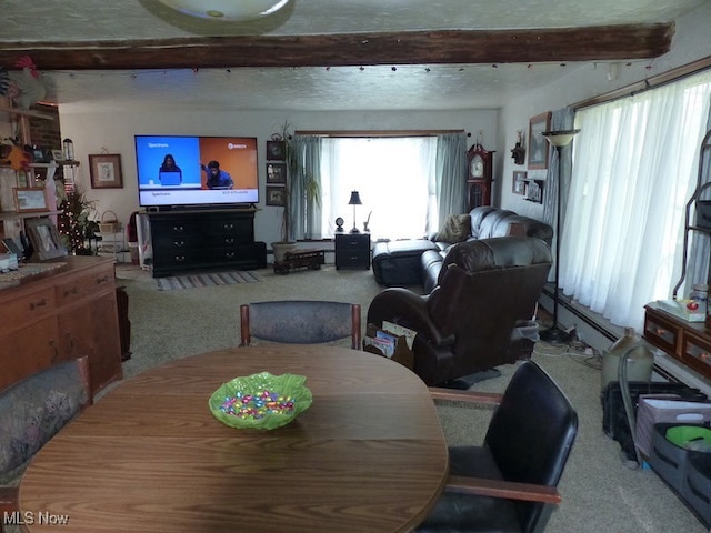 988 E Turkeyfoot Lake Rd, Green, OH 44312 - carpeted dining space featuring a baseboard heating unit