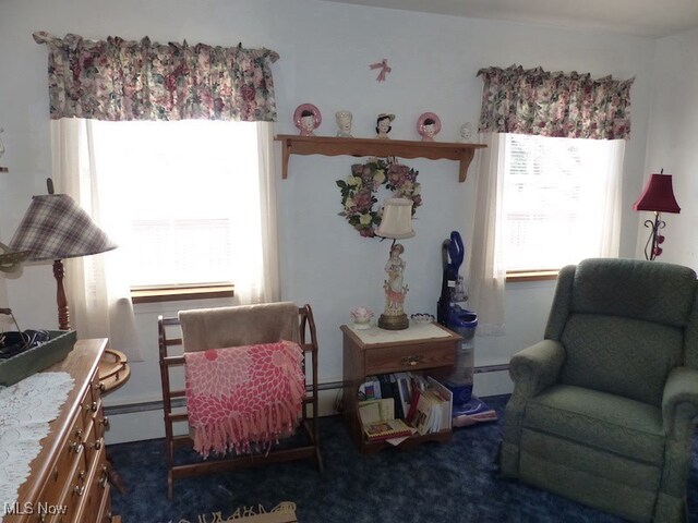 988 E Turkeyfoot Lake Rd, Green, OH 44312 - sitting room with baseboard heating