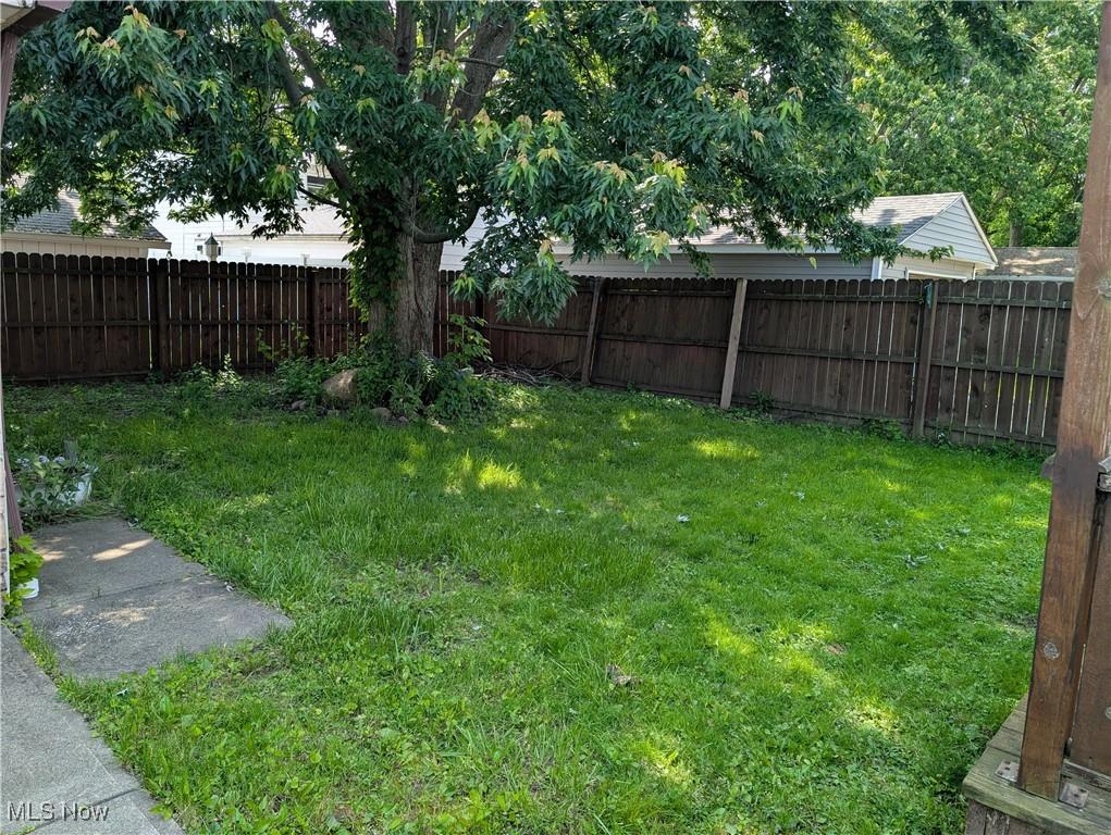 1009 E 347th St, Eastlake, OH 44095 - view of yard