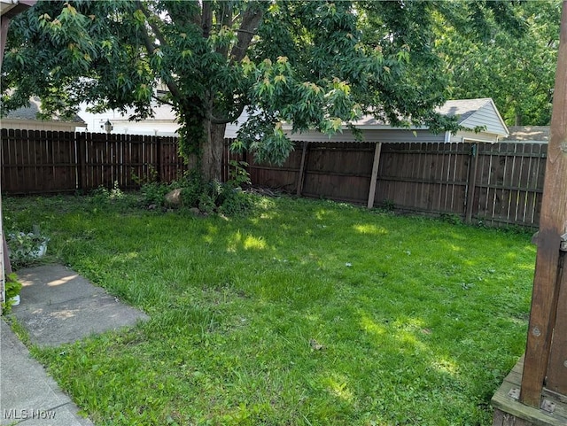 1009 E 347th St, Eastlake, OH 44095 - view of yard