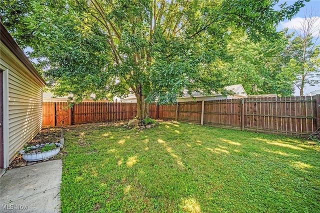 1009 E 347th St, Eastlake, OH 44095 - photo 22