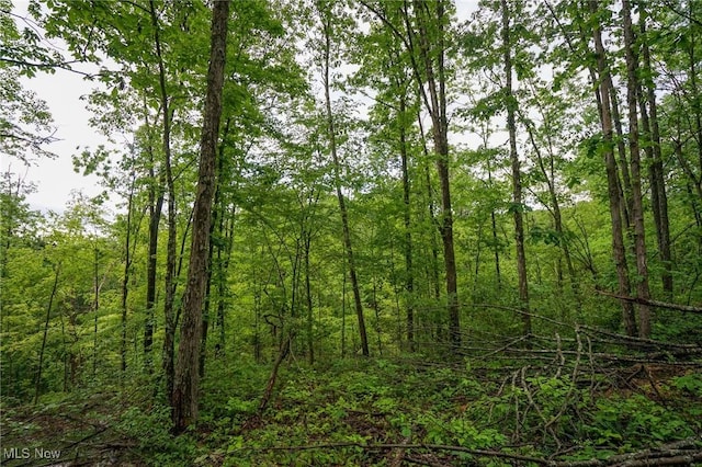 Township Rd 460, Woodsfield, OH 43793 - photo 9