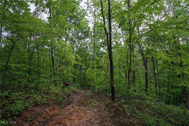 Township Rd 460, Woodsfield, OH 43793 - photo 11