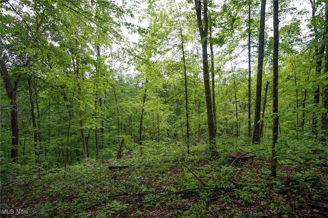 Township Rd 460, Woodsfield, OH 43793 - photo 12