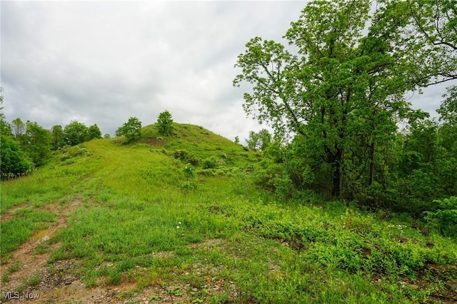 Township Rd 460, Woodsfield, OH 43793 - photo 2