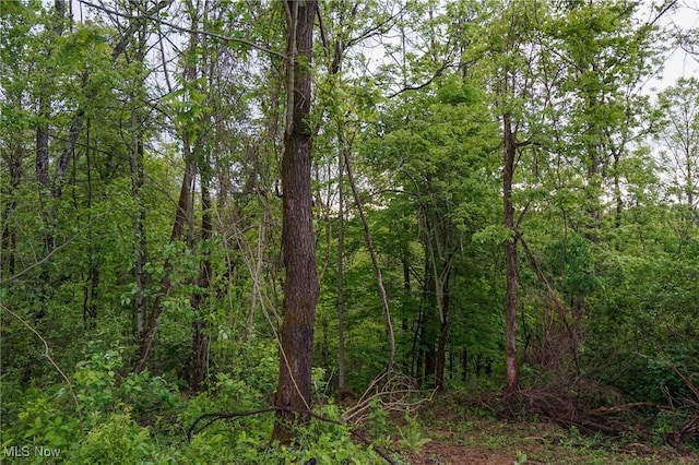 Township Rd 460, Woodsfield, OH 43793 - photo 3