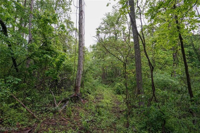 Township Rd 460, Woodsfield, OH 43793 - photo 5