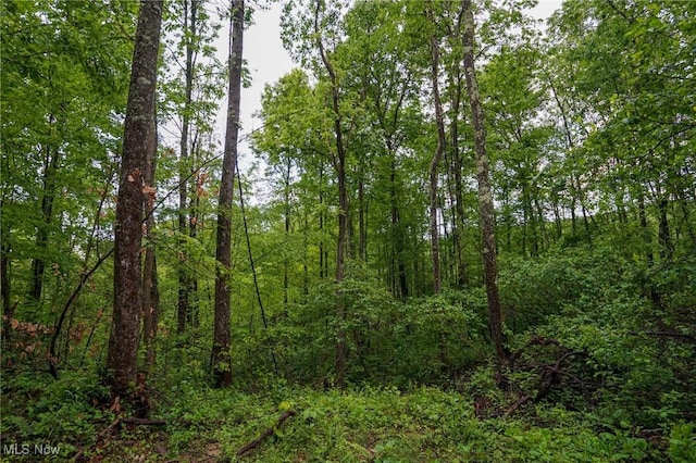 Township Rd 460, Woodsfield, OH 43793 - photo 7
