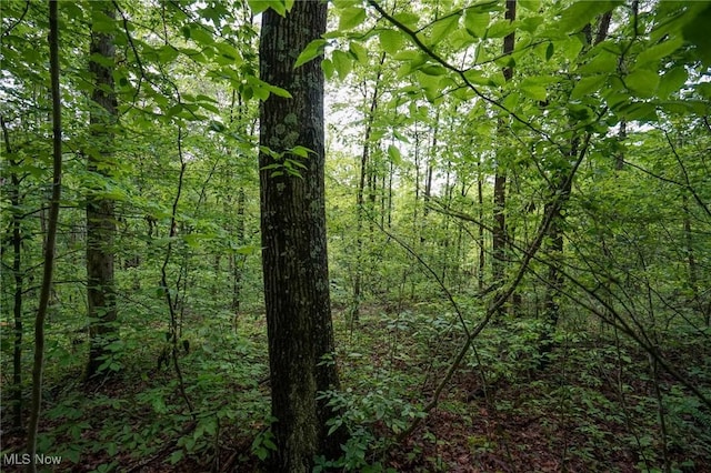 Township Rd 460, Woodsfield, OH 43793 - photo 15