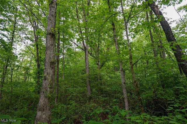 Township Rd 460, Woodsfield, OH 43793 - photo 16