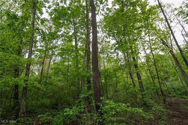 Township Rd 460, Woodsfield, OH 43793 - photo 17