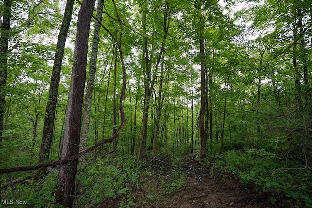 Township Rd 460, Woodsfield, OH 43793 - photo 18