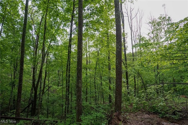 Township Rd 460, Woodsfield, OH 43793 - photo 19