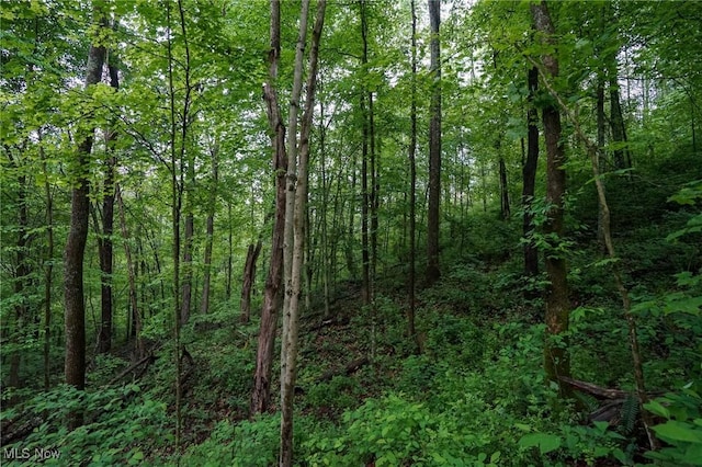 Township Rd 460, Woodsfield, OH 43793 - photo 20
