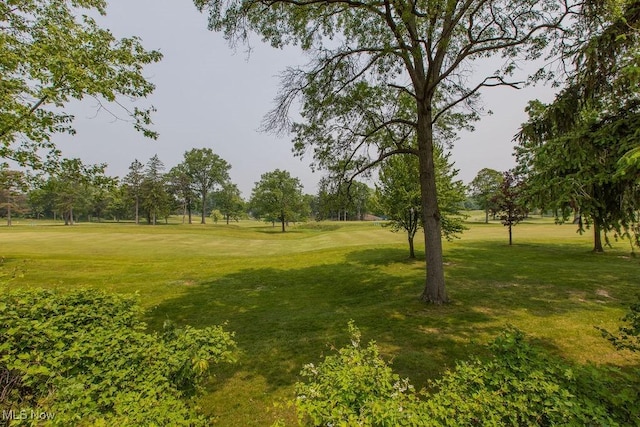 19101 Van Aken Blvd Unit 218, Shaker Heights, OH 44122 - view of property's community featuring a yard