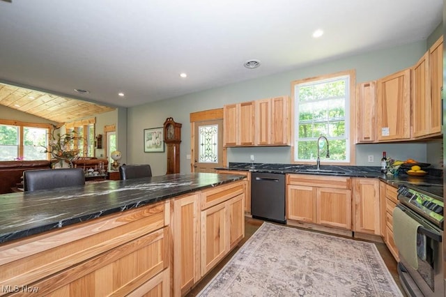 24416 Mountz Rd, Homeworth, OH 44634 - kitchen featuring black dishwasher, stainless steel electric range, a sink, plenty of natural light, and recessed lighting