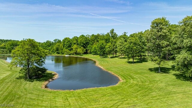 24416 Mountz Rd, Homeworth, OH 44634 - water view