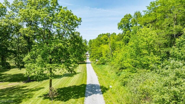 24416 Mountz Rd, Homeworth, OH 44634 - view of dirt / gravel road