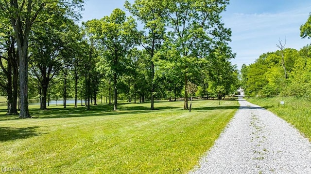 24416 Mountz Rd, Homeworth, OH 44634 - view of property's community with a yard